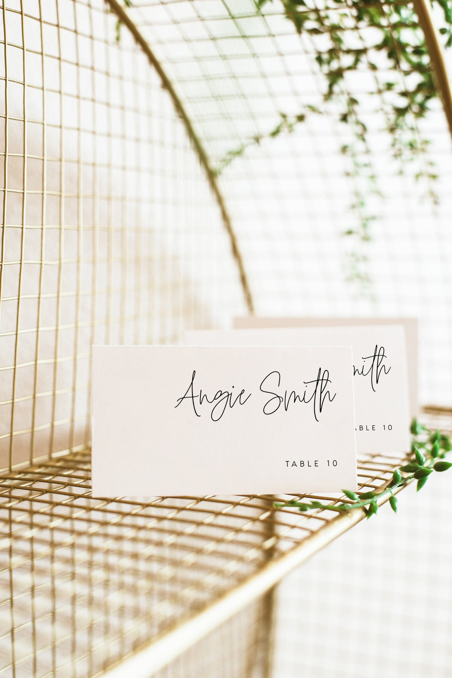 Angie Wedding Place Card Template Modern