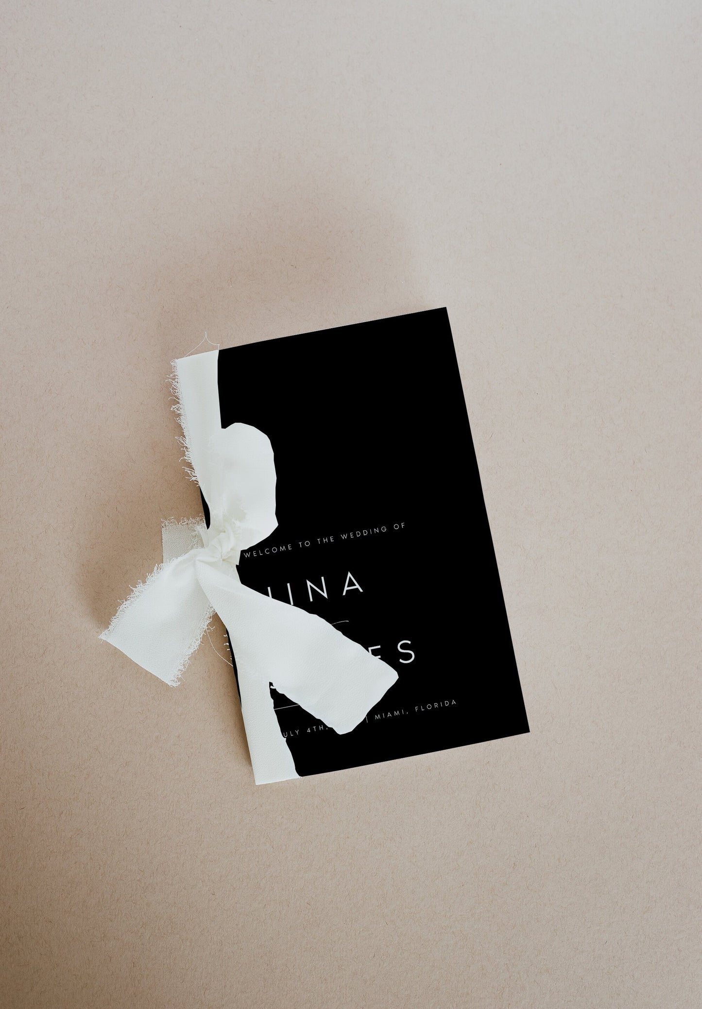 Nina Minimal Foldable Wedding Program Template