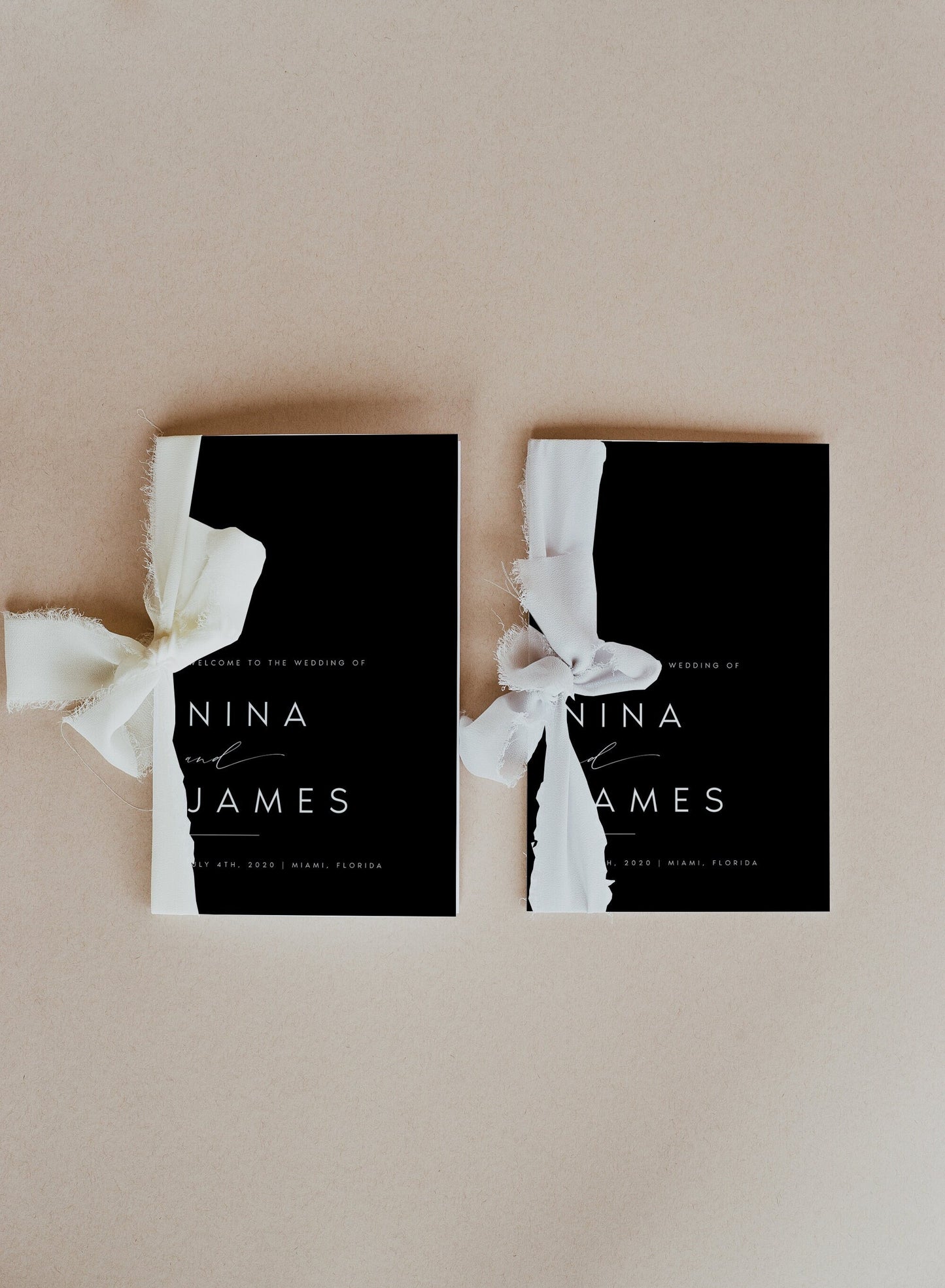 Nina Minimal Foldable Wedding Program Template