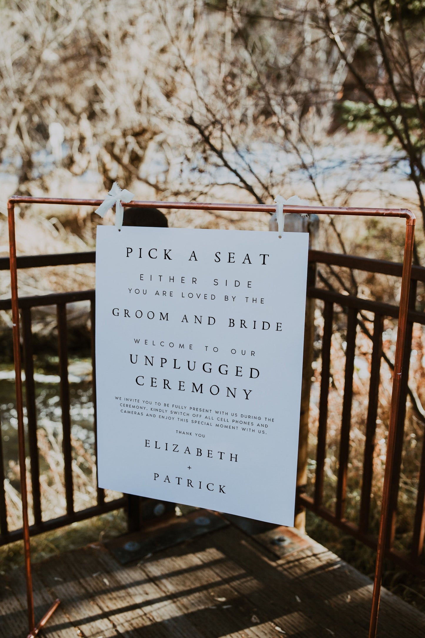Elizabeth Pick a Seat Unplugged Wedding Ceremony Sign