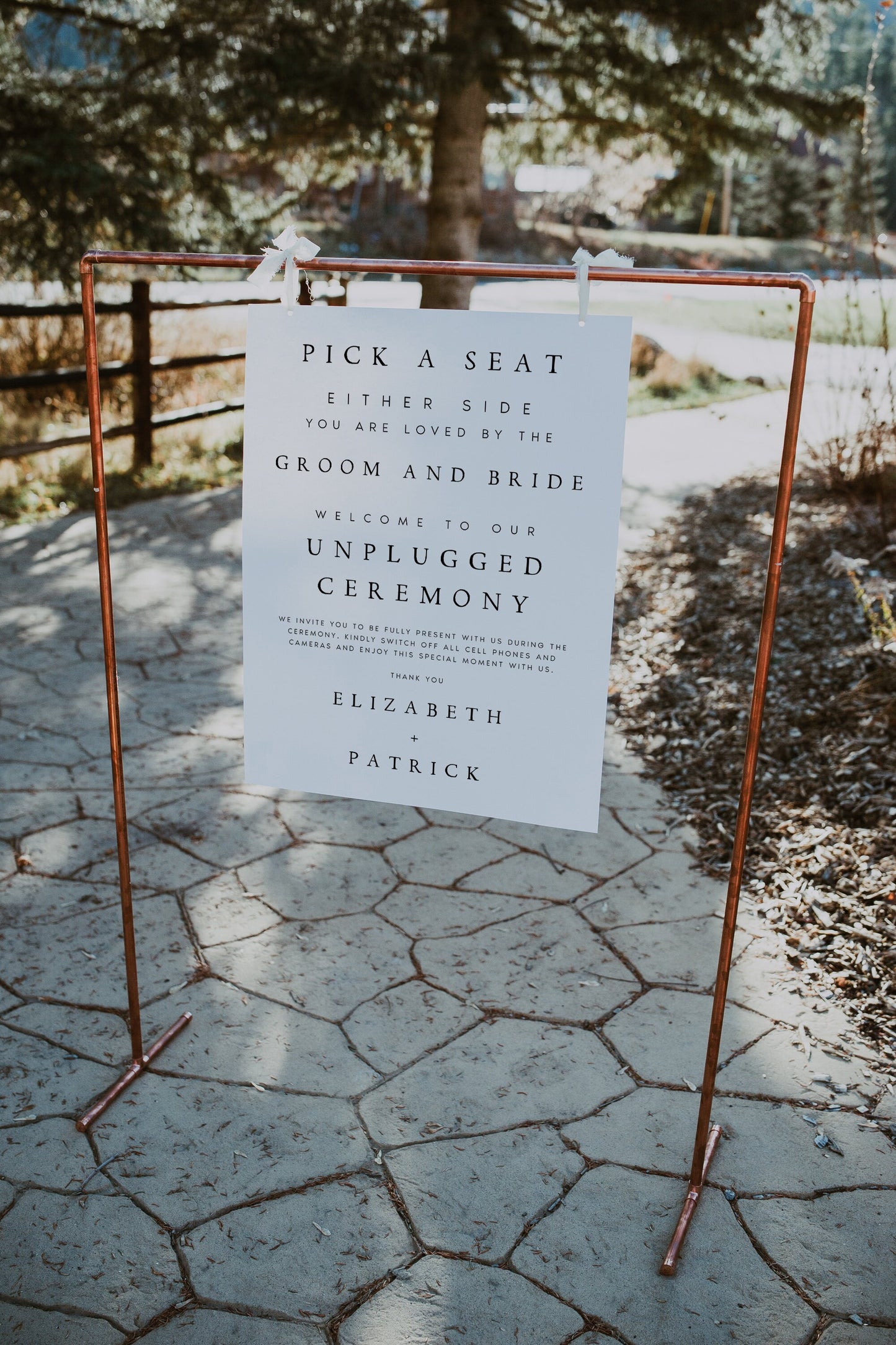 Elizabeth Pick a Seat Unplugged Wedding Ceremony Sign