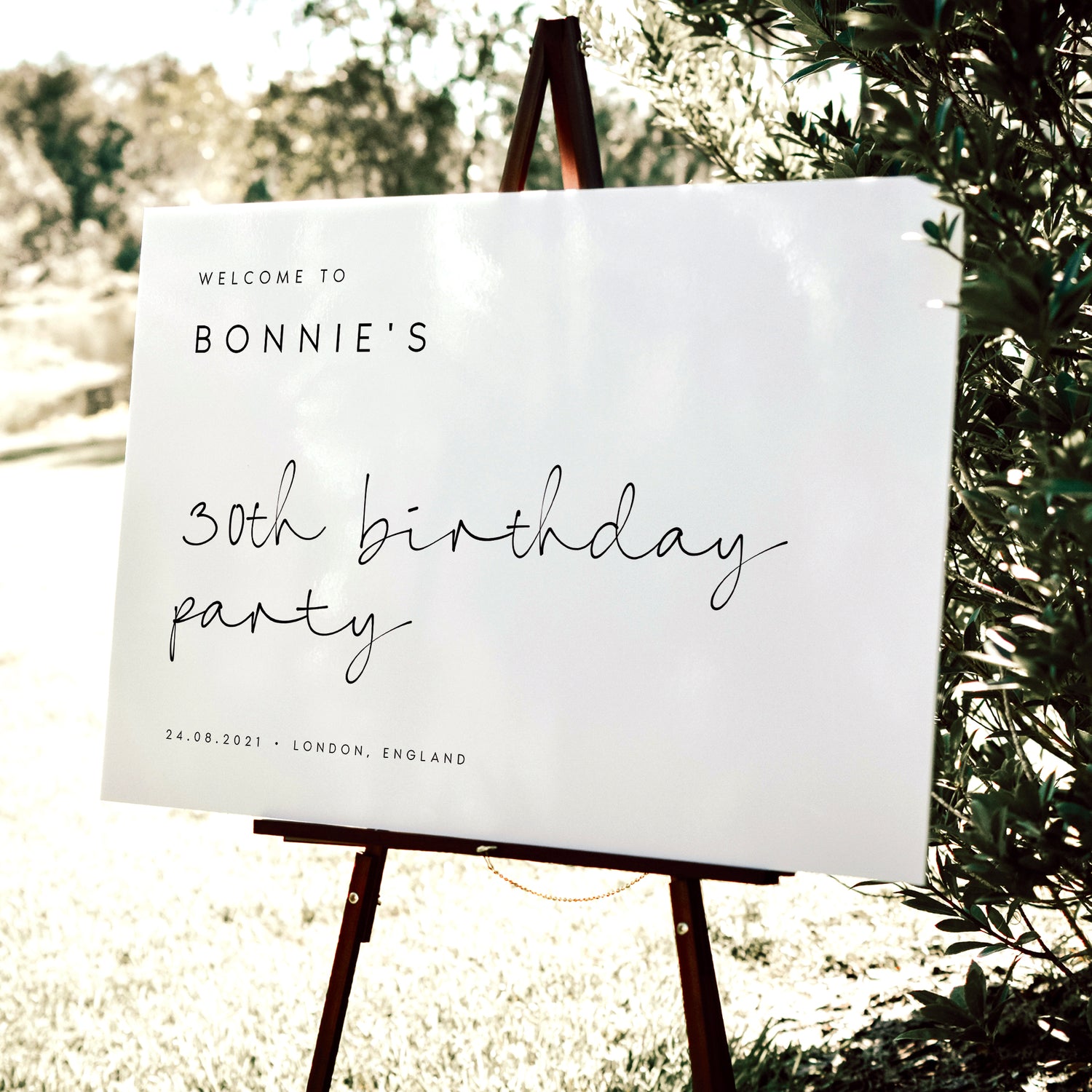 Birthday Signs