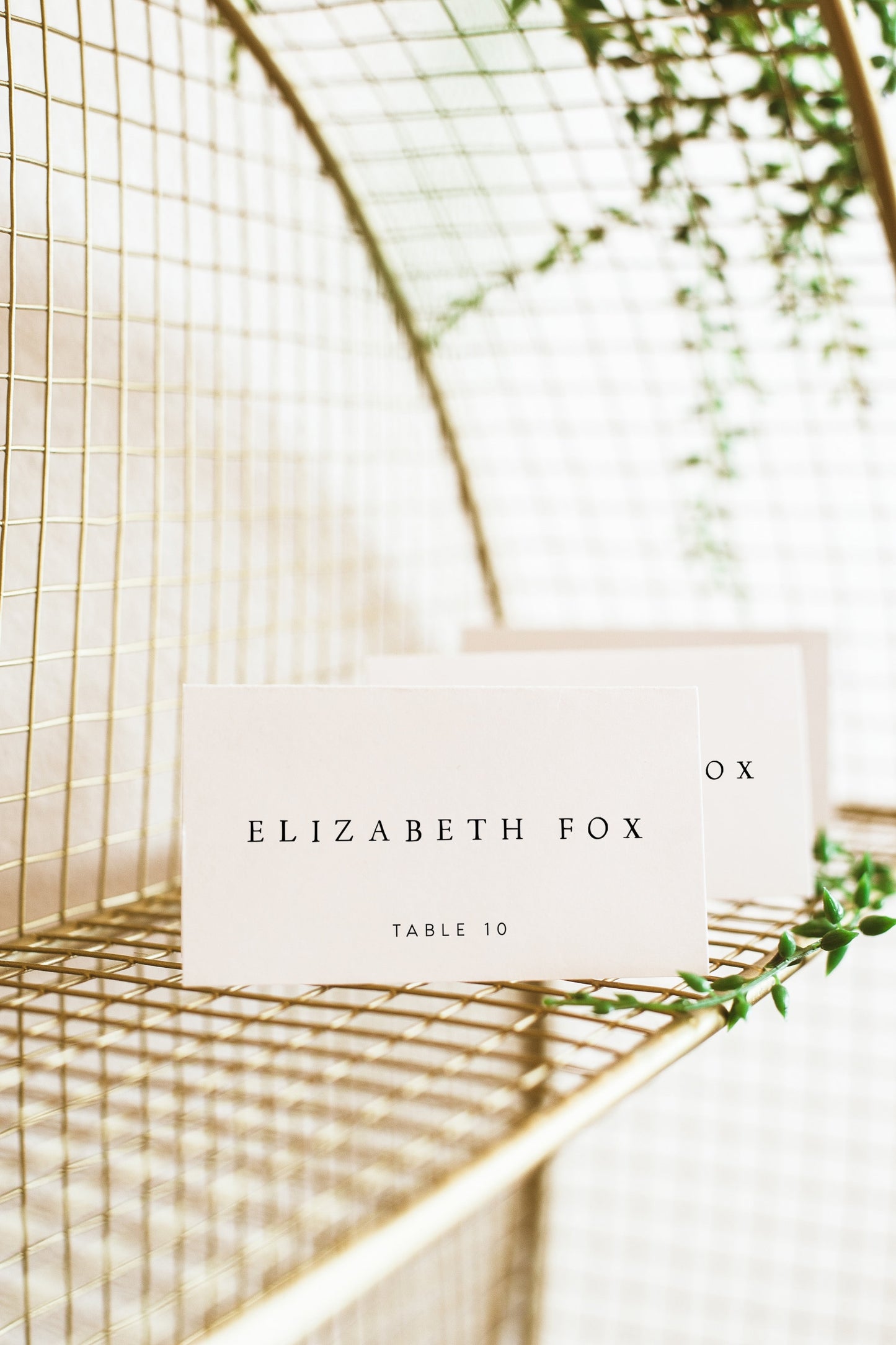 Elizabeth Wedding Place Cards