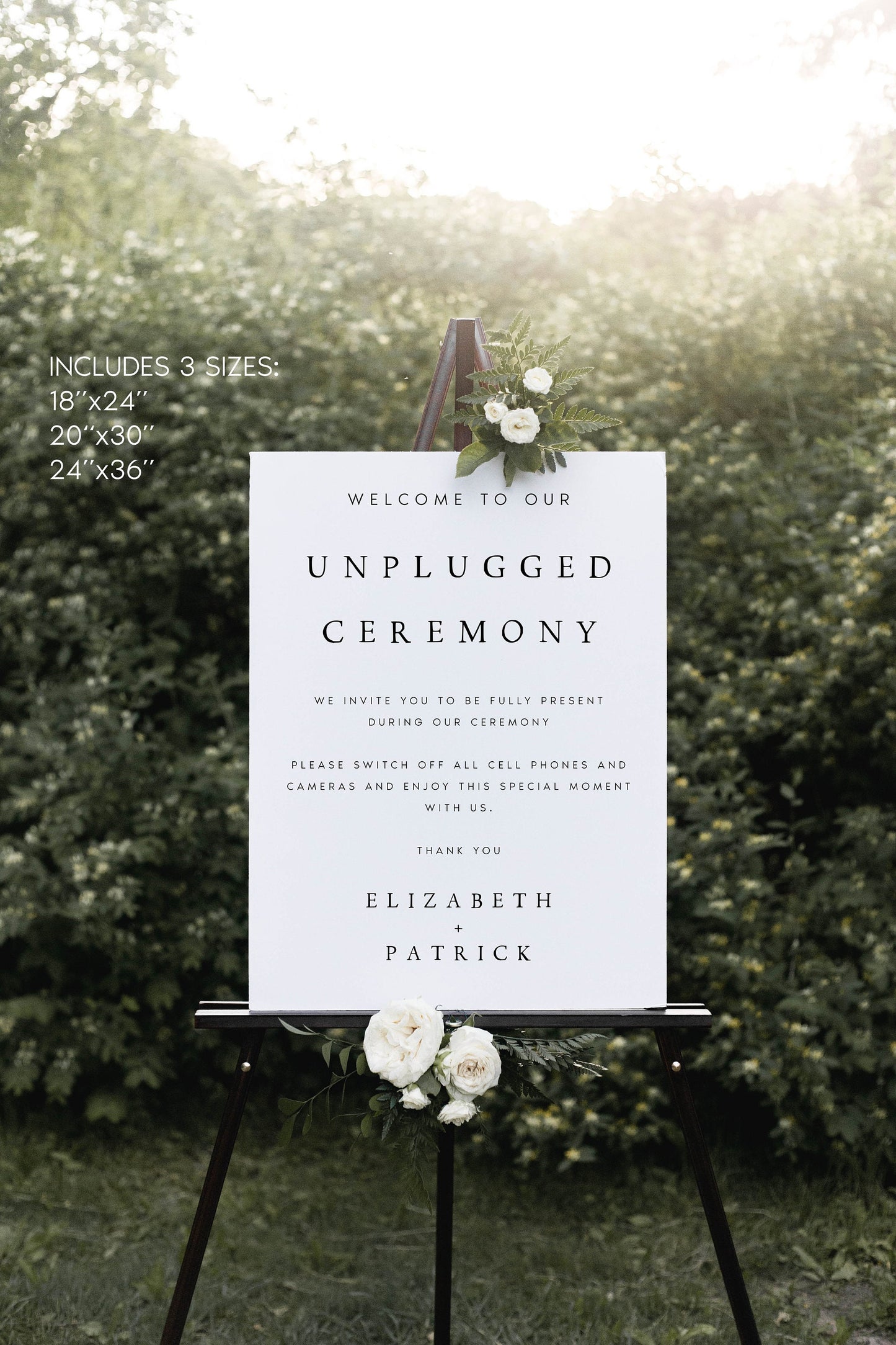 Elizabeth Unplugged Ceremony Wedding Sign Template