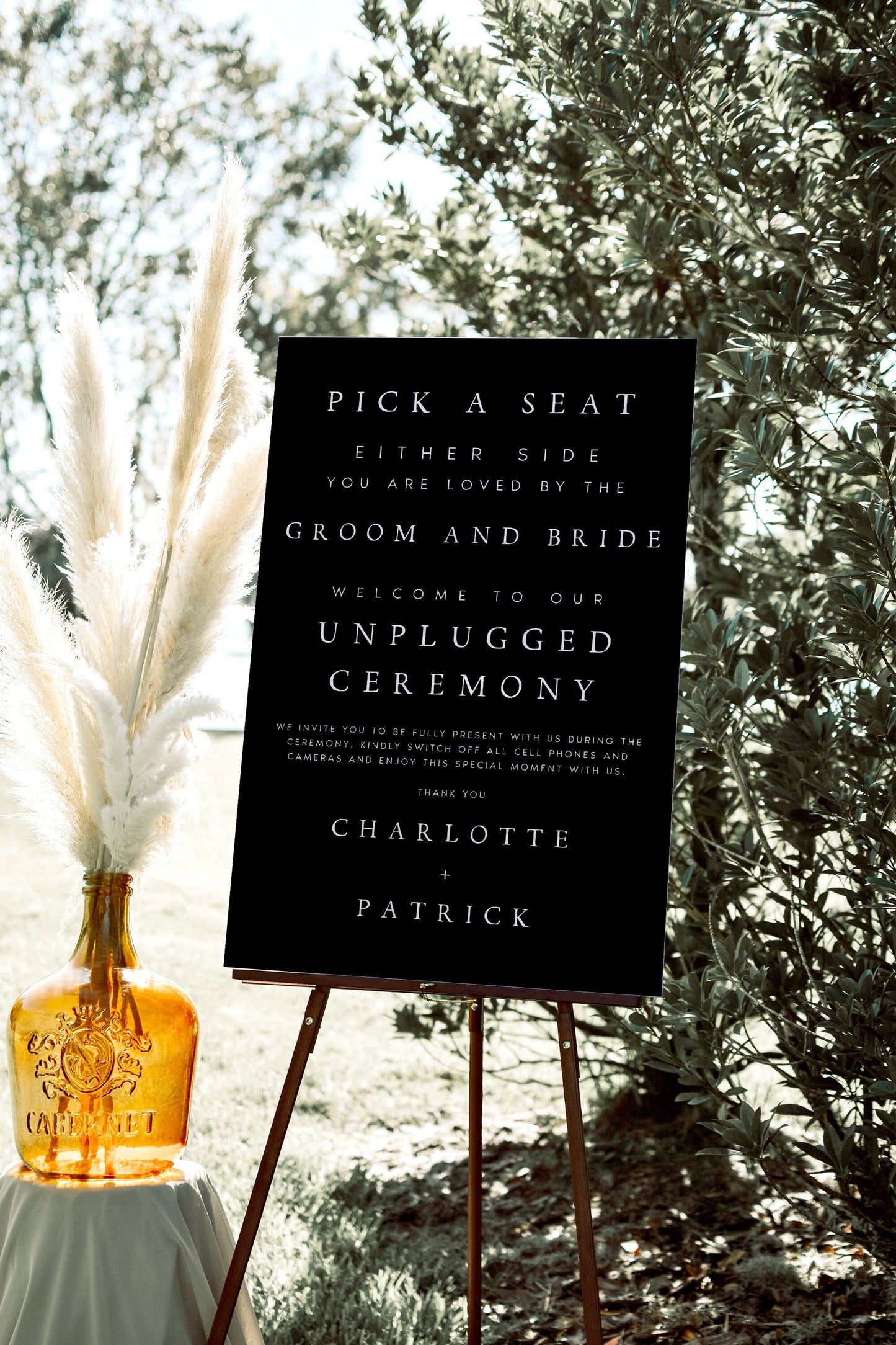 Charlotte Pick a Seat Unplugged Wedding Ceremony Sign