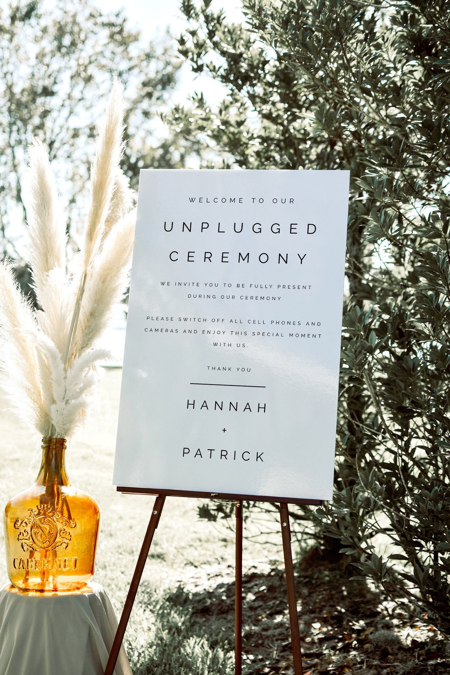 Hannah Printable Unplugged Ceremony Sign