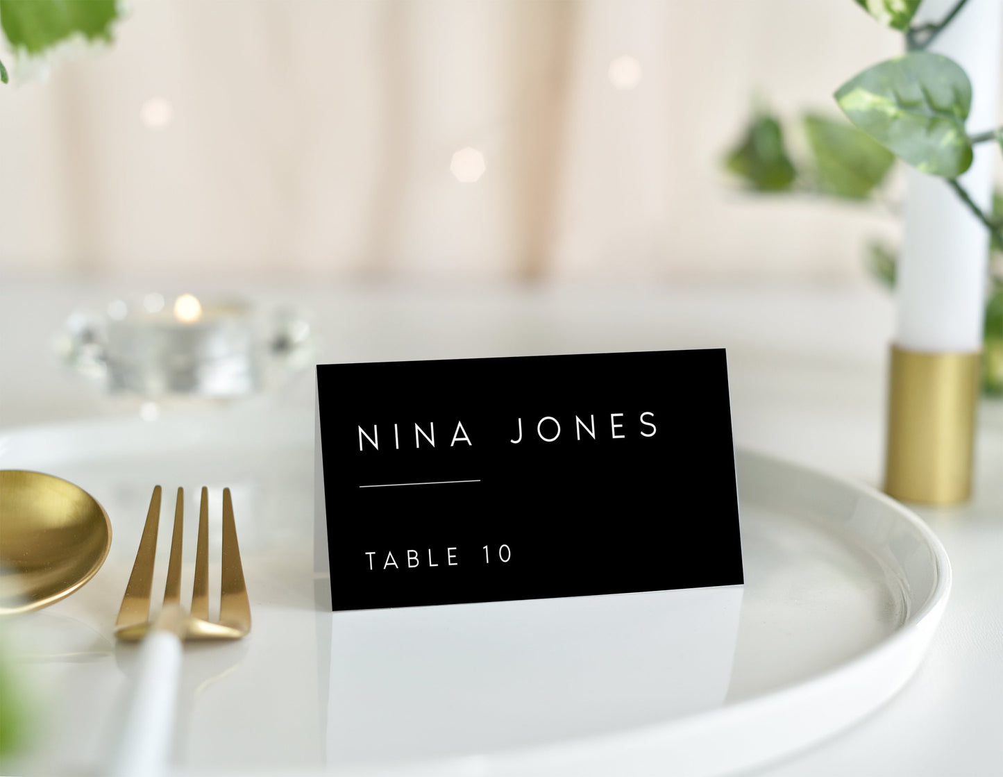 Nina Minimalist Wedding Place Cards