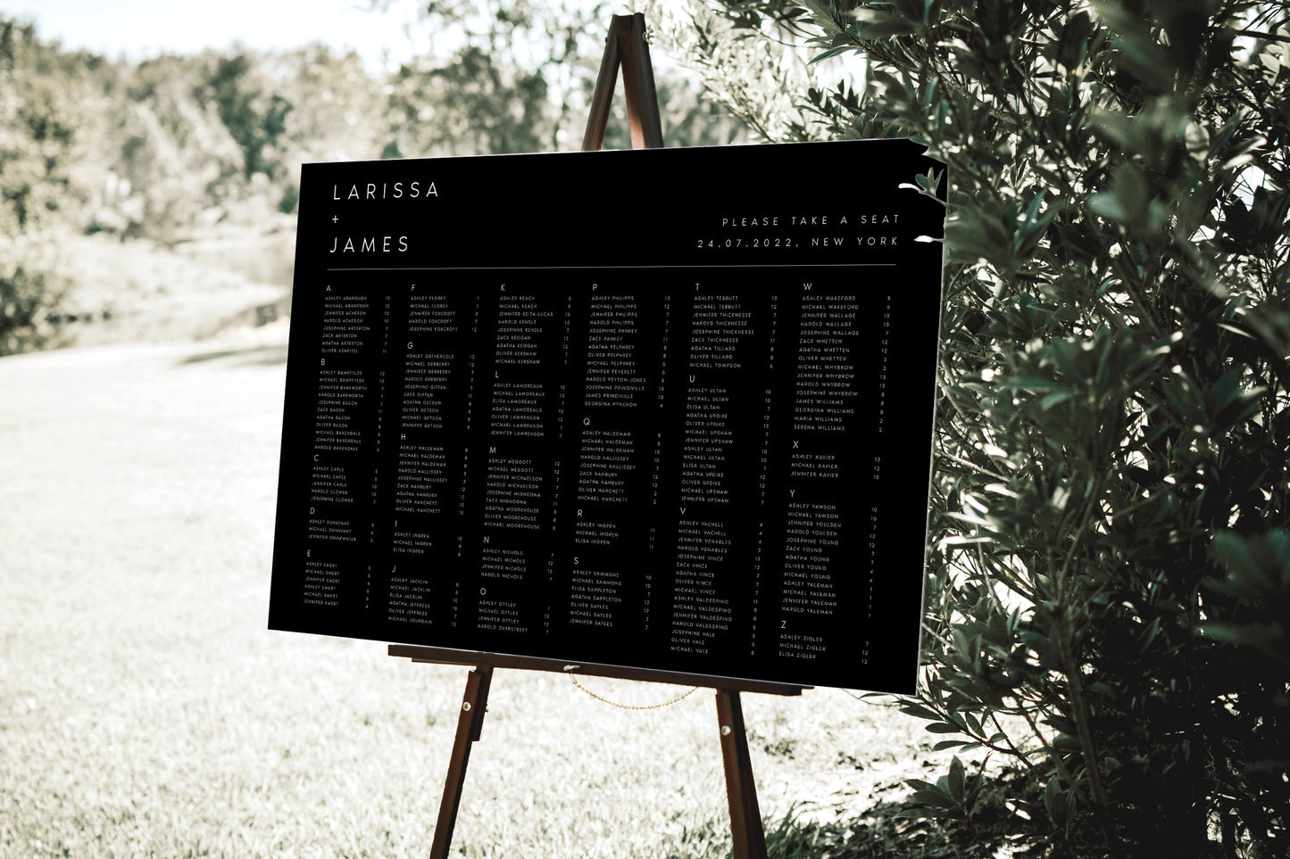 Larissa Modern Wedding Seating Chart Template