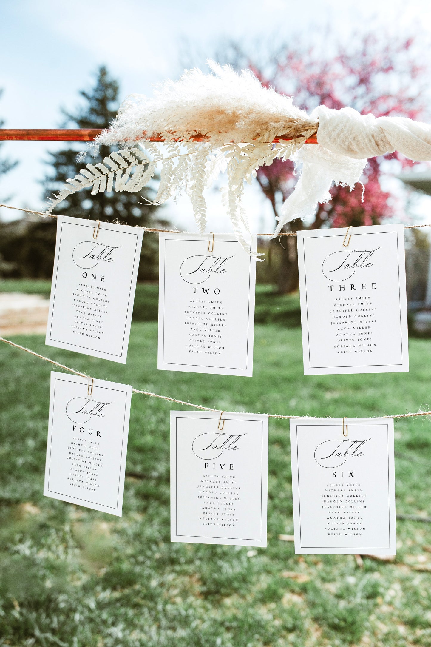 Cecilia Elegant Wedding Seating Chart Template