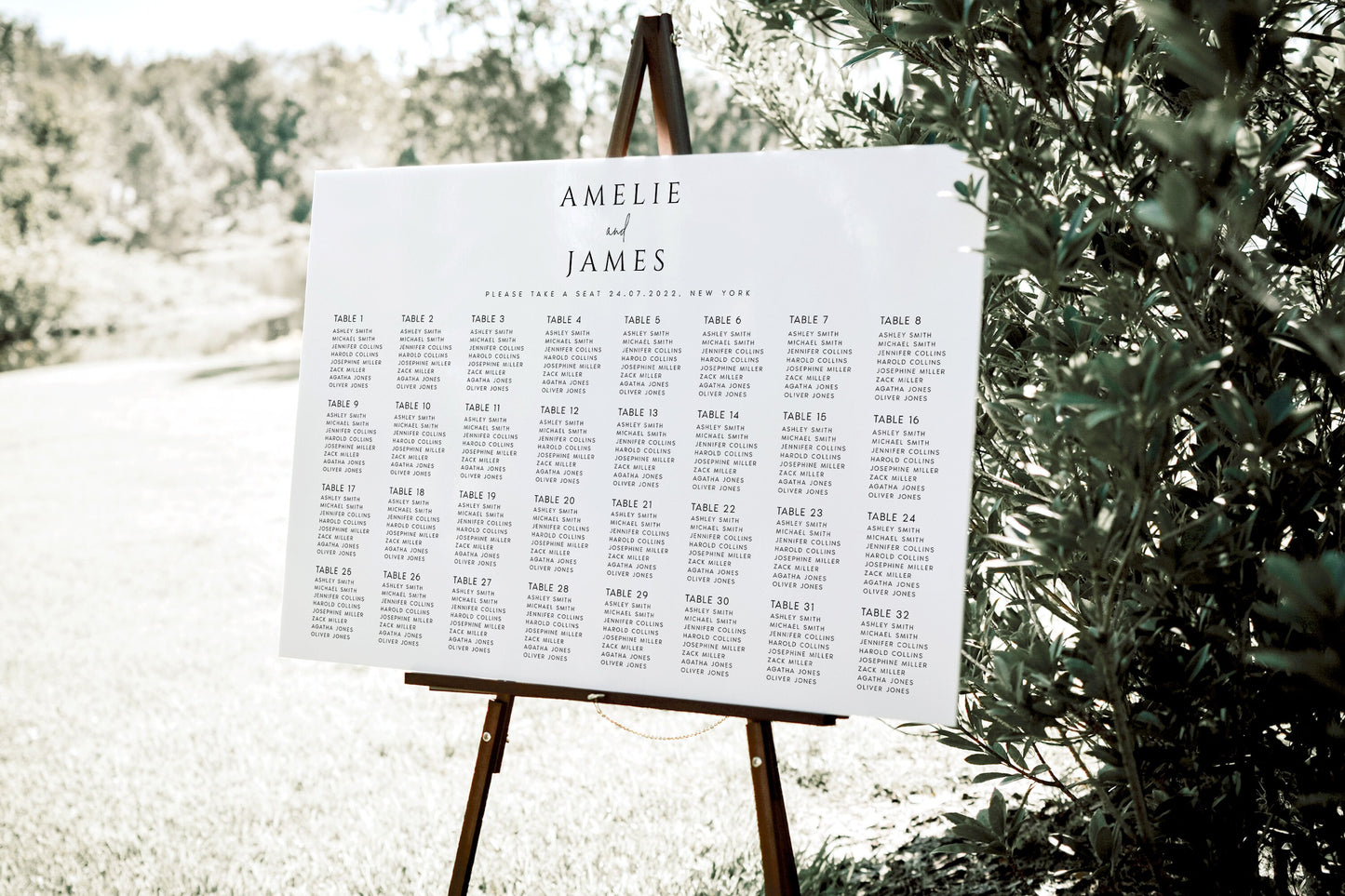 Amelie Modern Seating Chart Template