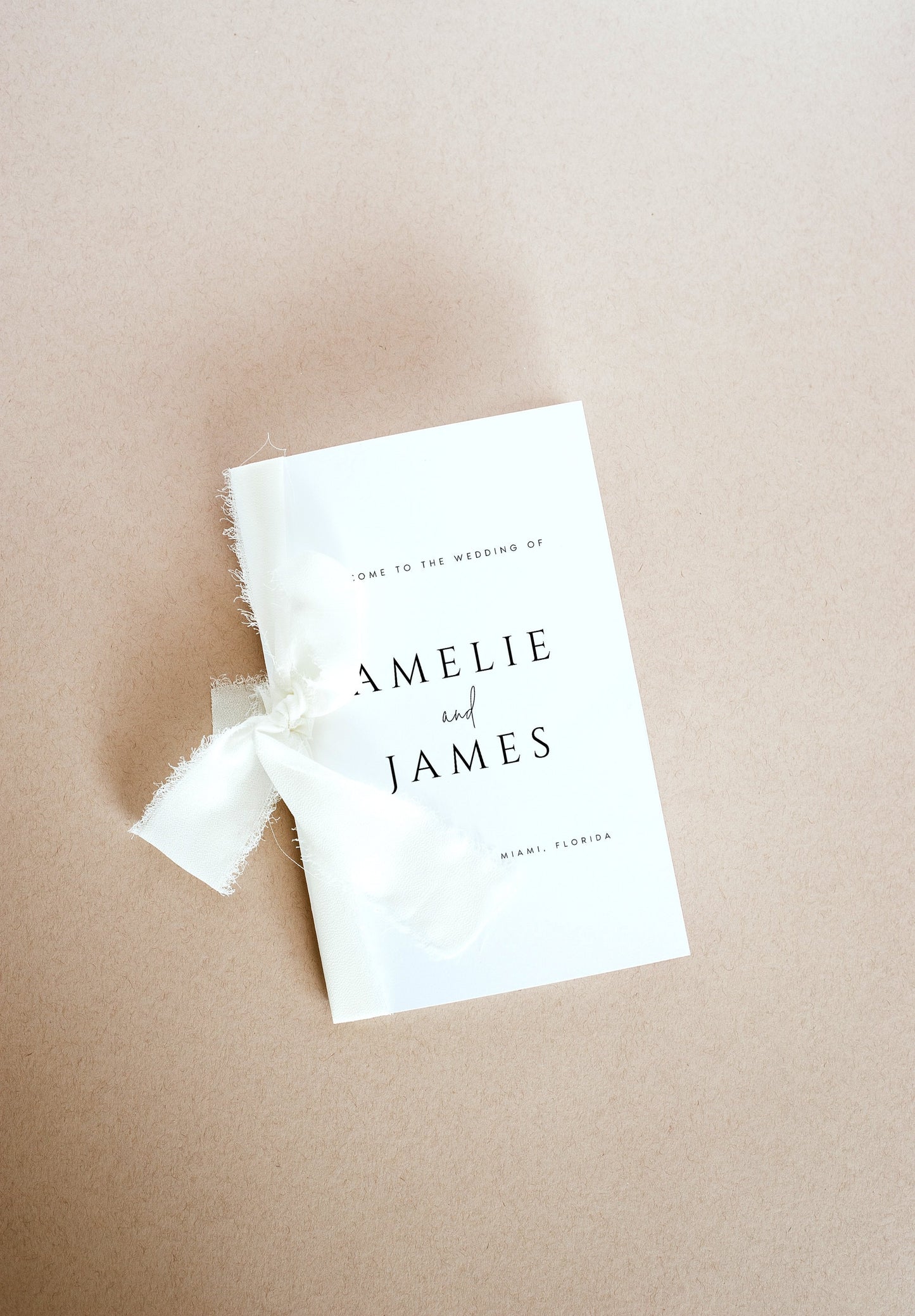 Amelie Wedding Program Timeline Template Foldable