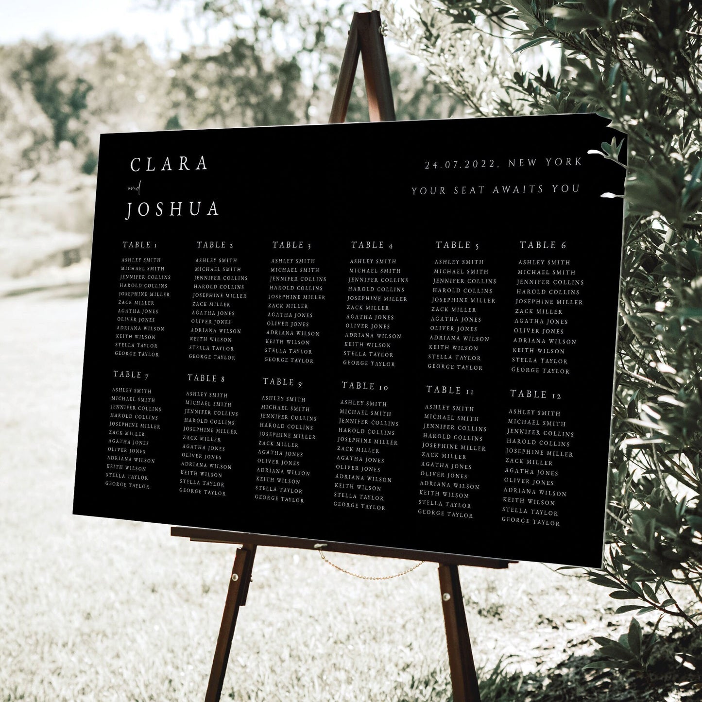 Clara Minimalist Wedding Seating Chart Template